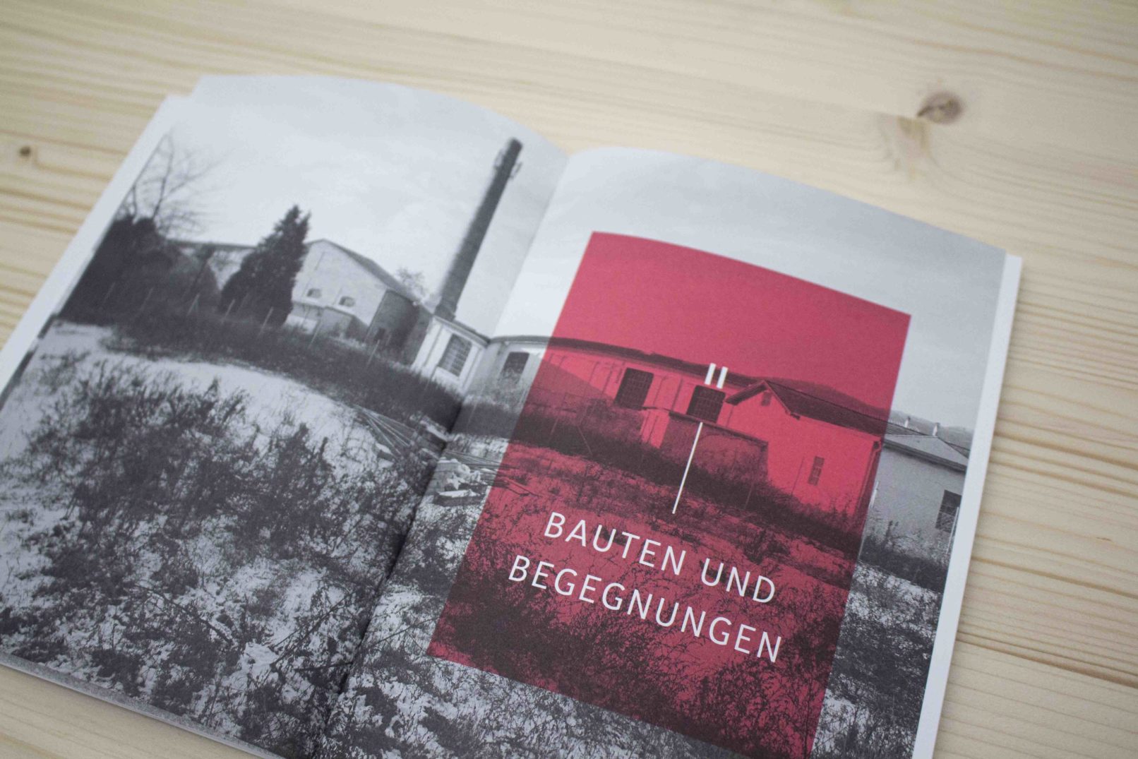 Im Lauf der Zeit – Katalog